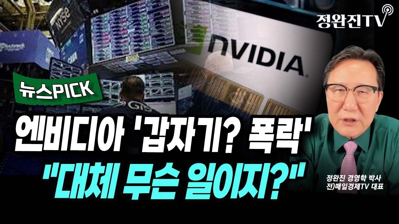 [뉴스픽] 엔비디아 '갑자기? 폭락'...