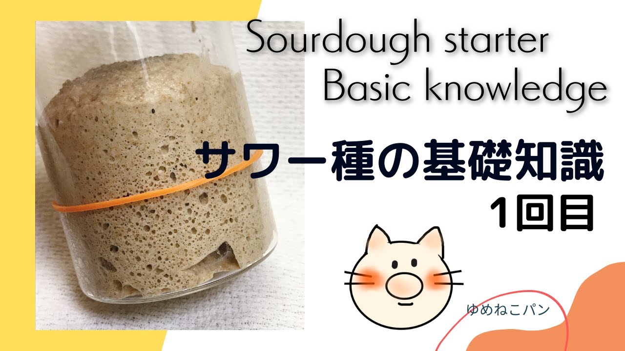サワー種の出来次第で良いパン・残念なパンが分かれます sourdough starter basic knowledge