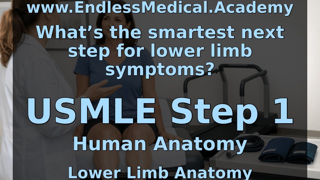 Lower Limb Anatomy, Human Anatomy, USMLE Step 1 - Full Vignette with Extended Explanations