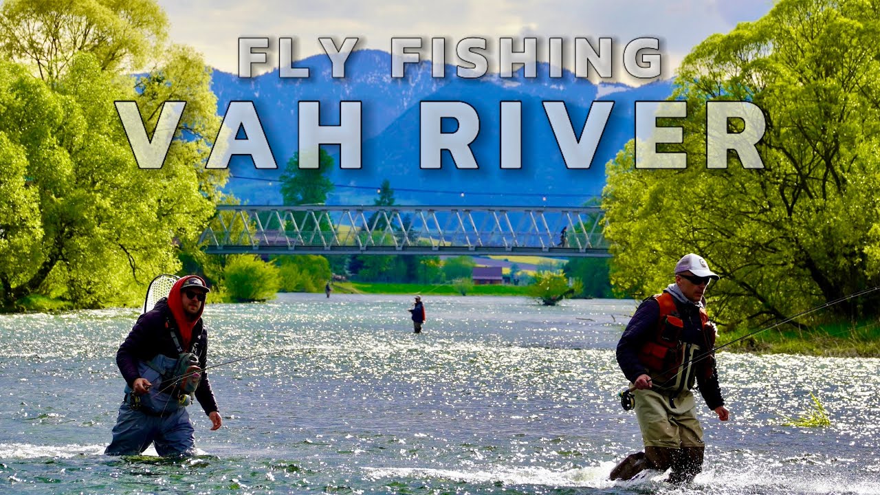 Fly fishing in Slovakian Vah River | Pstrągi tęczowe z Rzeki Vag na Nimfę | Cz.1