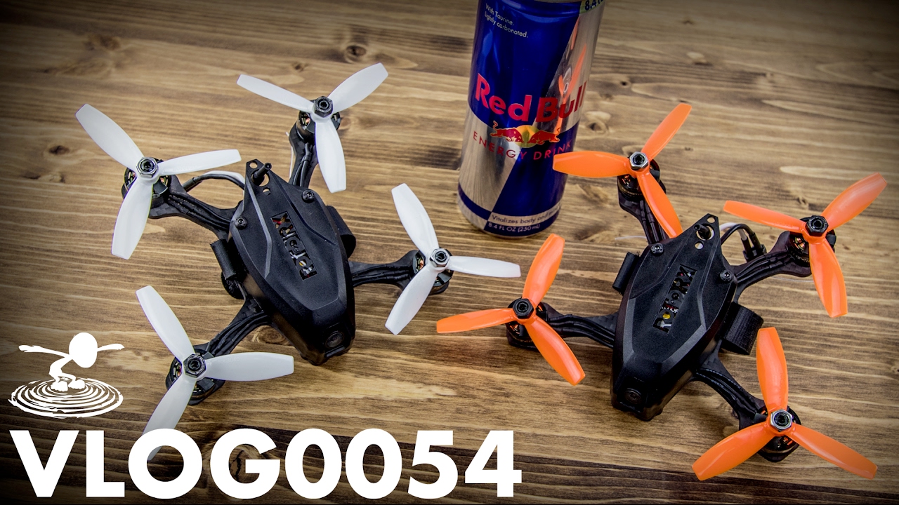 RED BULL GAVE US WINGS...AGAIN! | VLOG0054