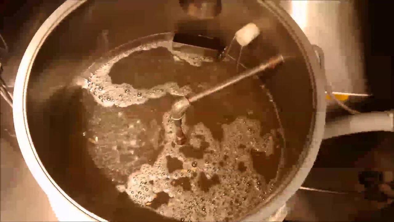 Malting Barley - Steeping
