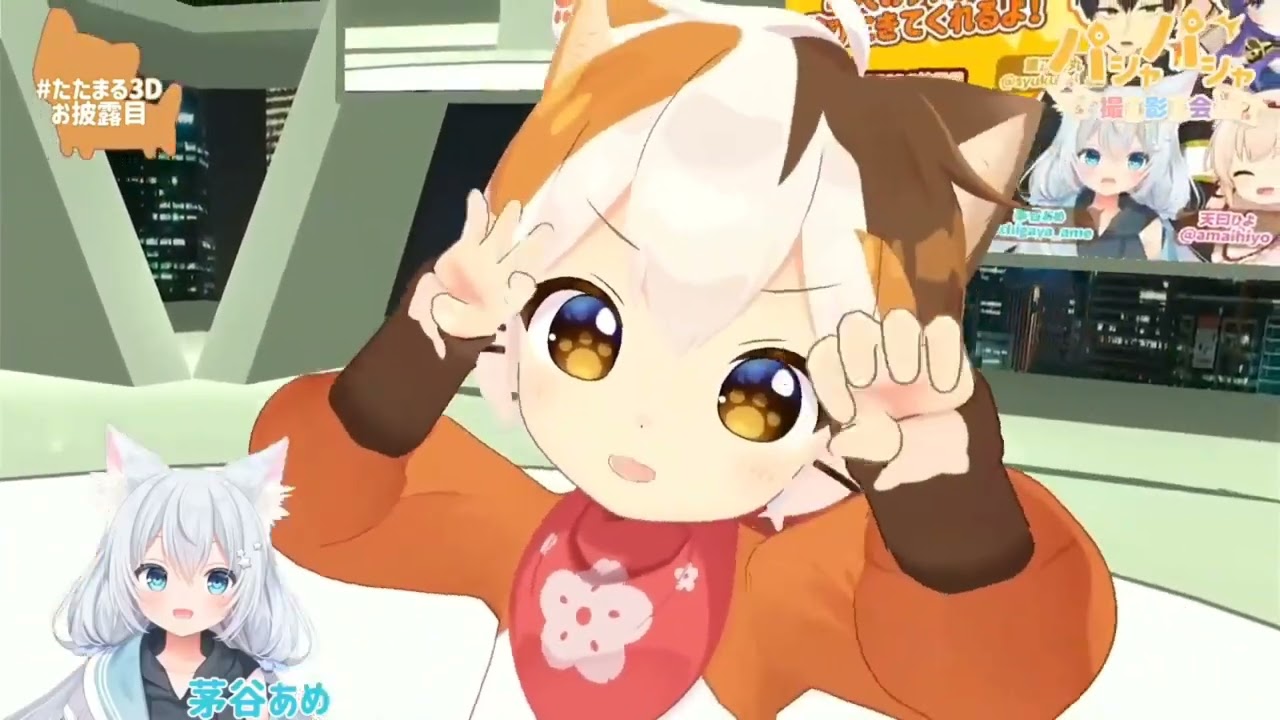 Tatamaru poses for the camera