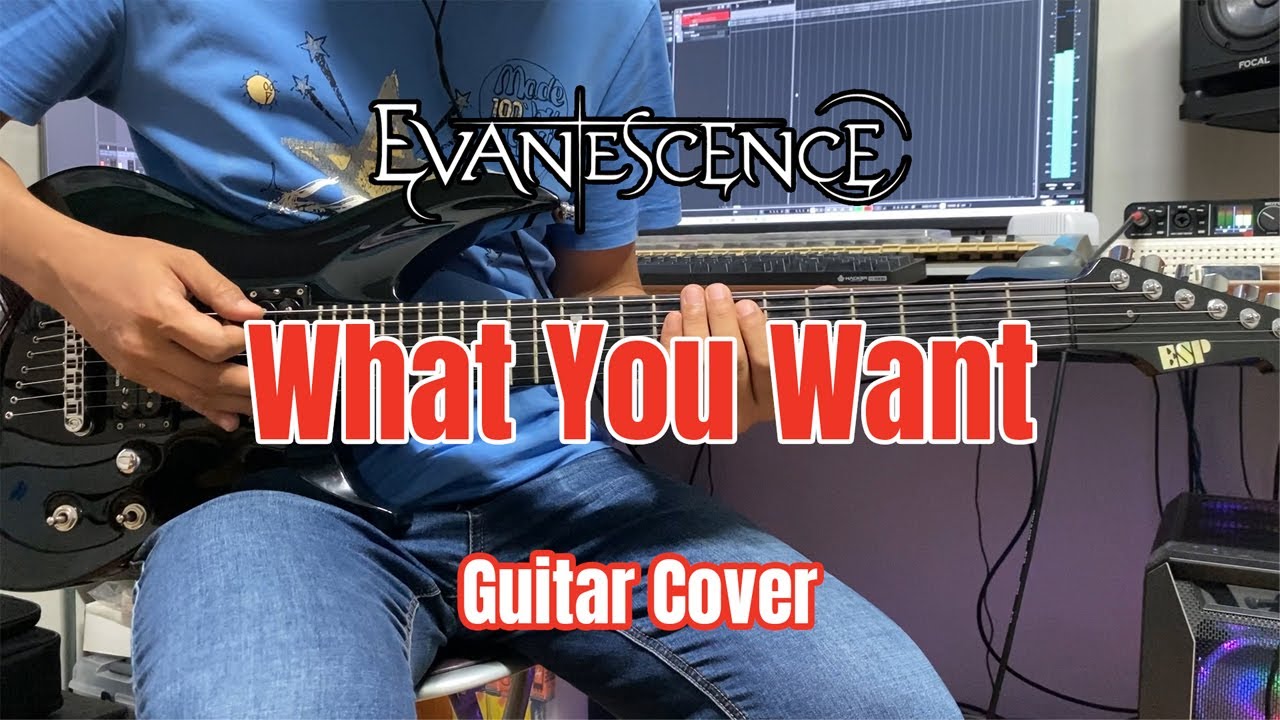 Evanescence - What You Want (Guitar Cover)