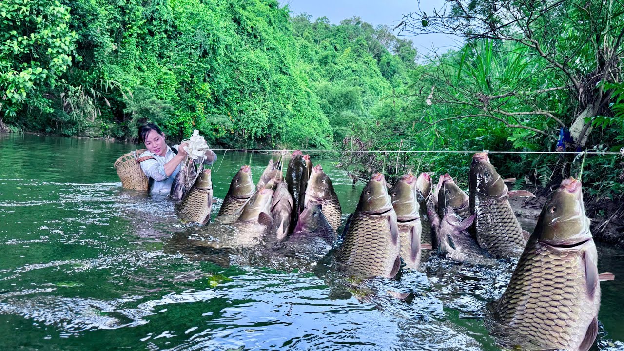 Fishing Skills - Single Mom Uses Traditional Fishing Technique to Catch Giant Carp on Stormy Day