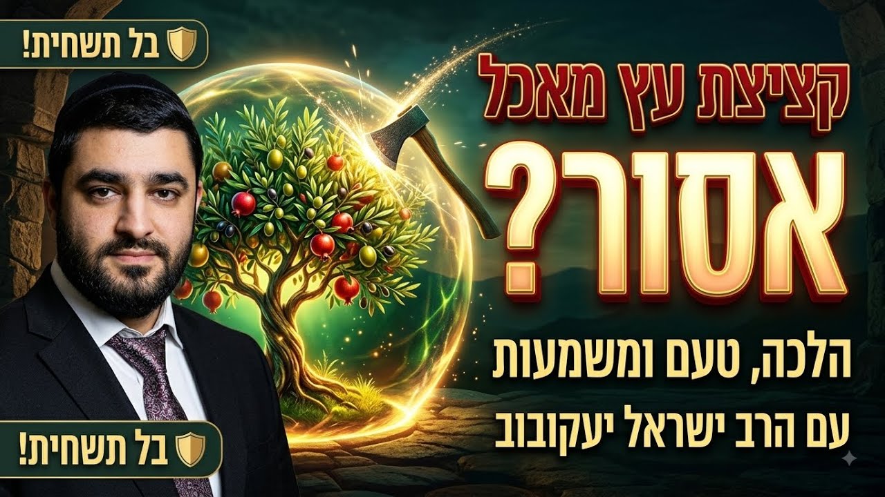 איסור קציצת עץ מאכל – הלכה, טעם ומשמעות?