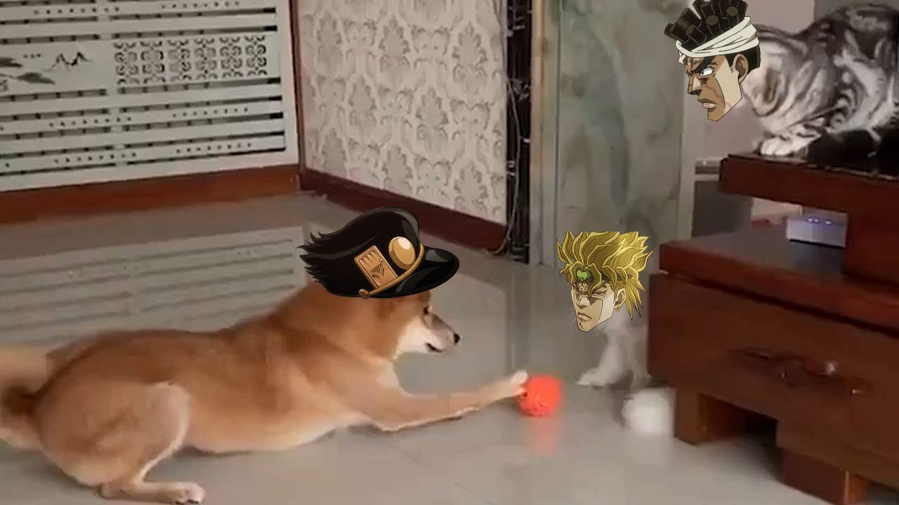 DIO Naughty Cat