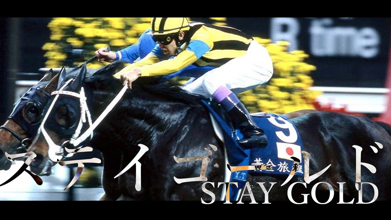 【競馬mad】黄金旅程 ステイゴールド 【stay gold】