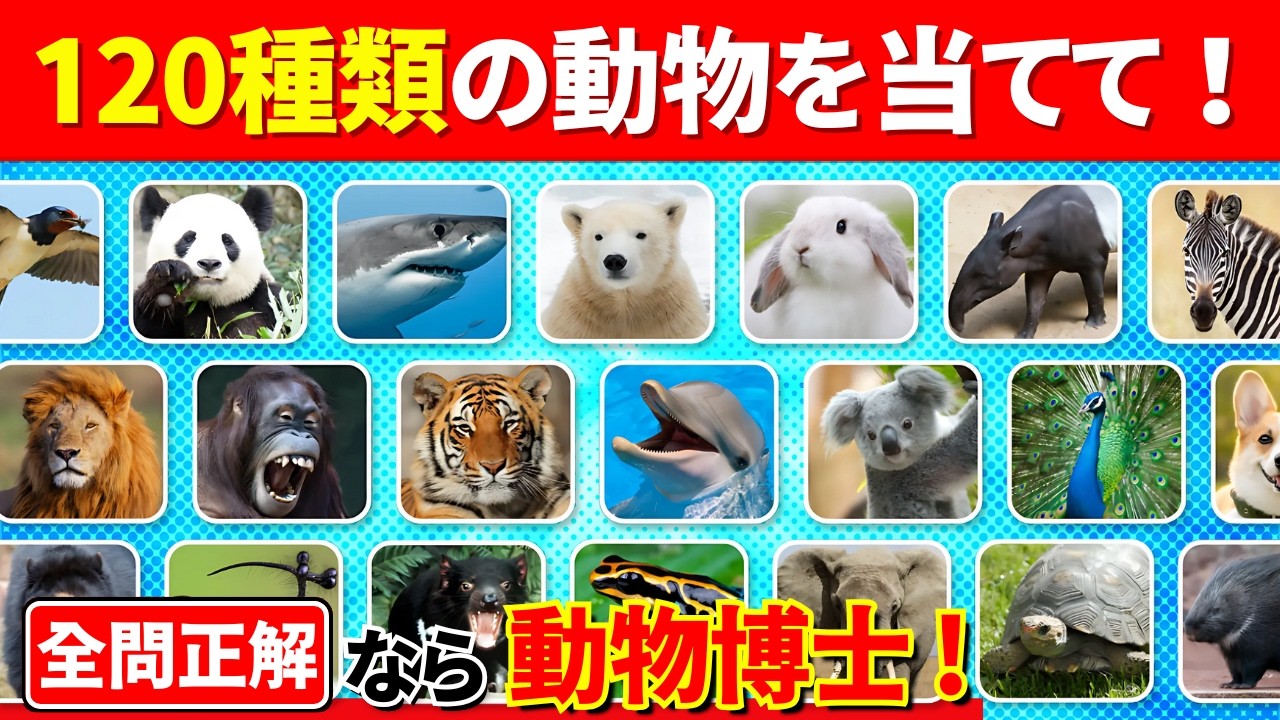 【全120問の動物クイズ】全問正解で動物博士だ！