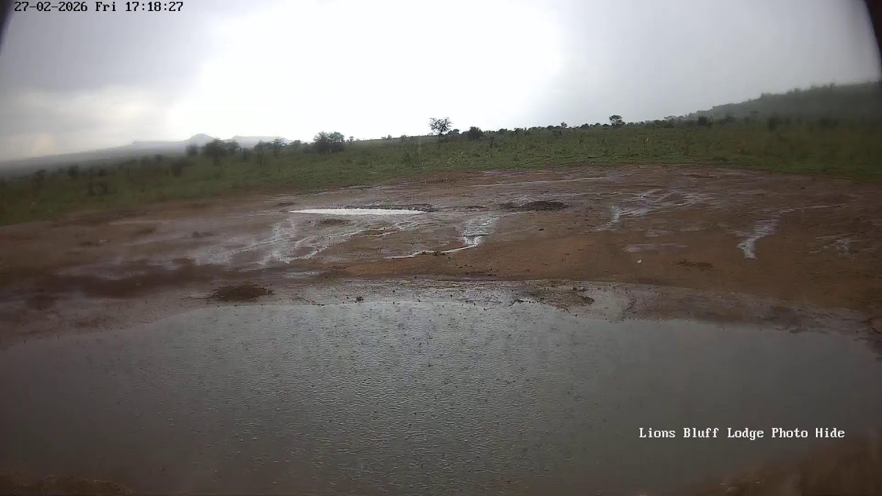 Lions Bluff Lodge Photo Hide - Live Stream
