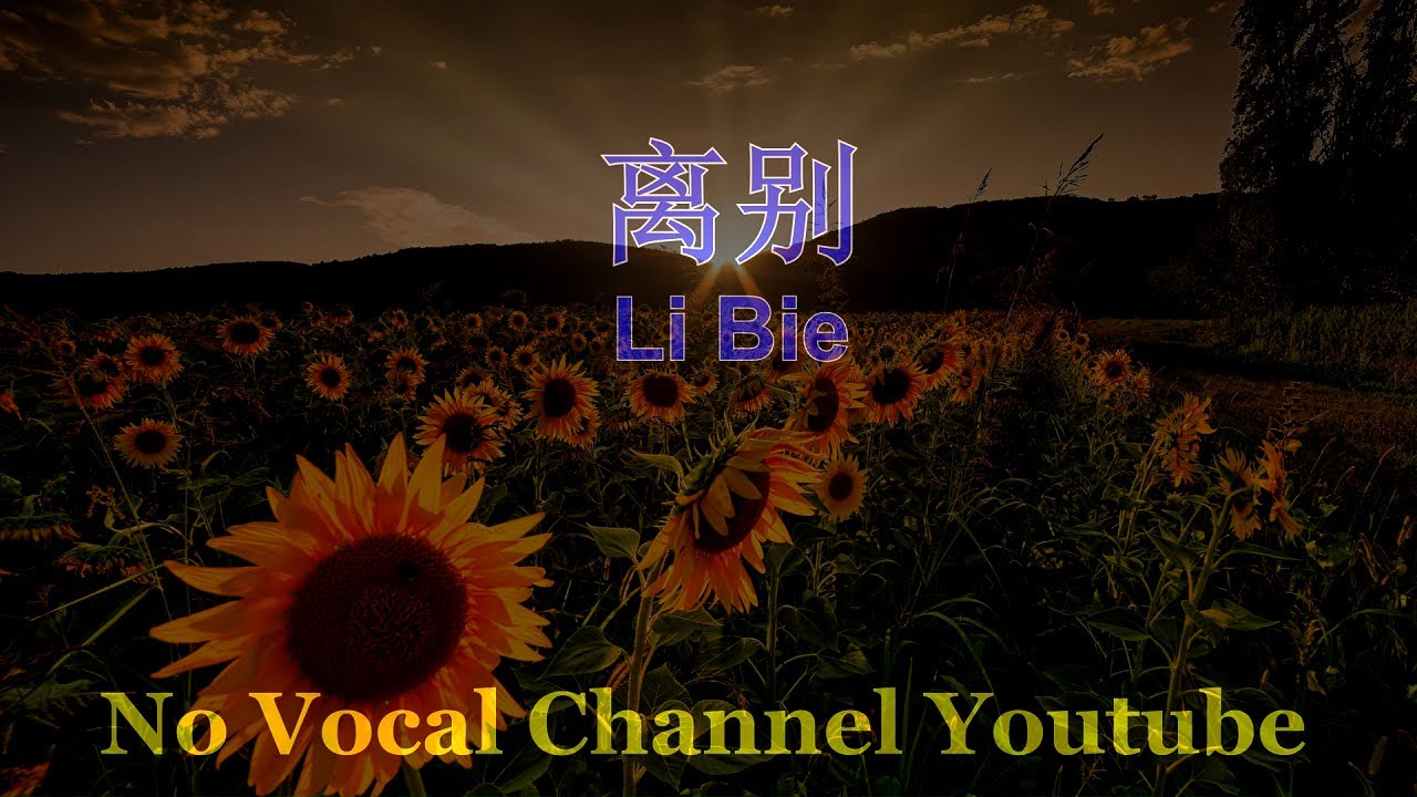 Li Bie ( 离别 ) Male Karaoke Mandarin - No Vocal