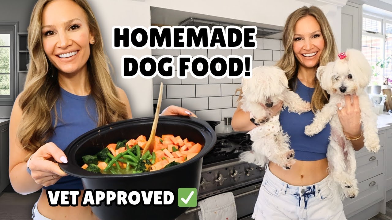 Vet Approved Homemade + Healthy Dog Food Recipe | Cooking for Your Dogs