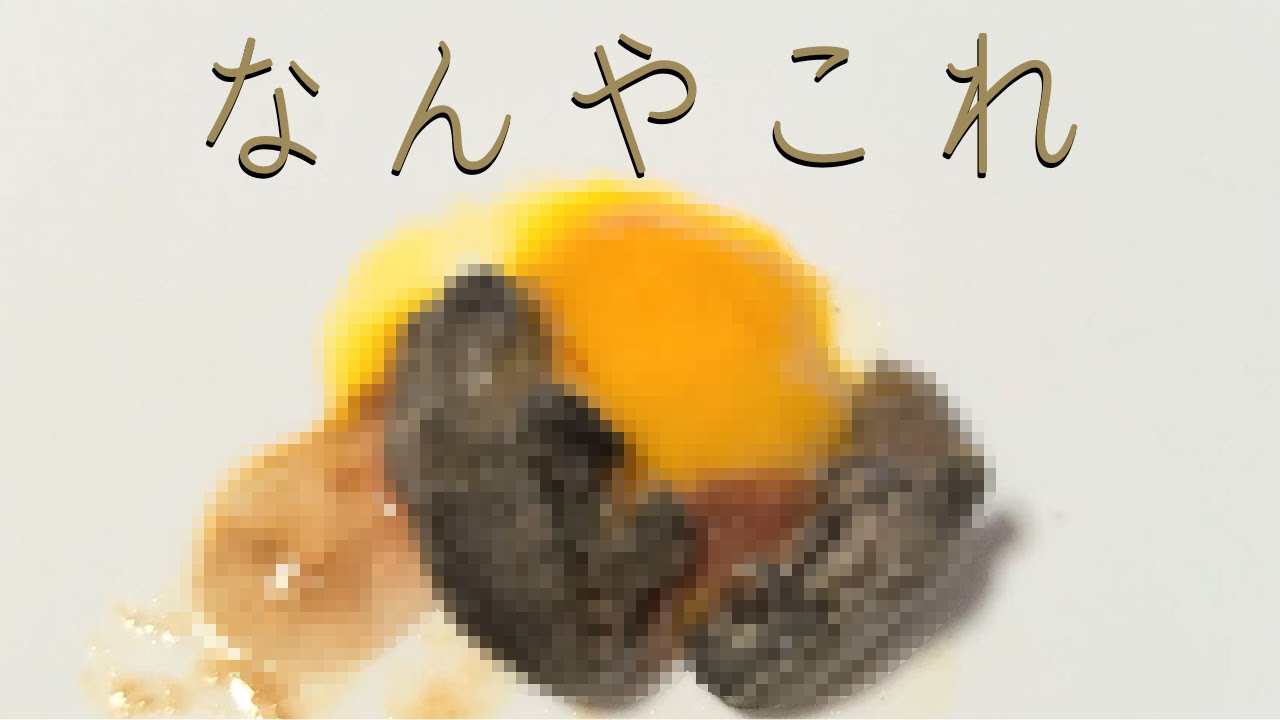 ペットのカメが孵化したけど約1％と言われる激レアな現象が起きました