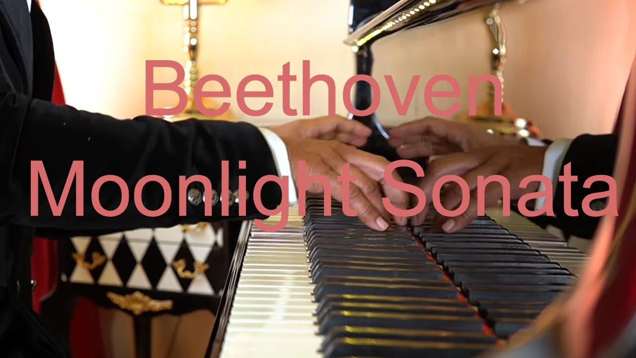 #49 BEETHOVEN Sonata no.14 Moonlight 1st movement opus 27 no.2 I. Adagio Sostenuto | Wibi Soerjadi