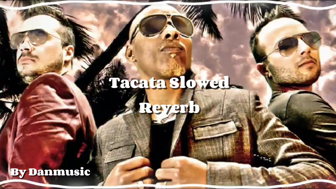 Tacabro - Tacata Slowed Reverb Remix ( By Danmusic )