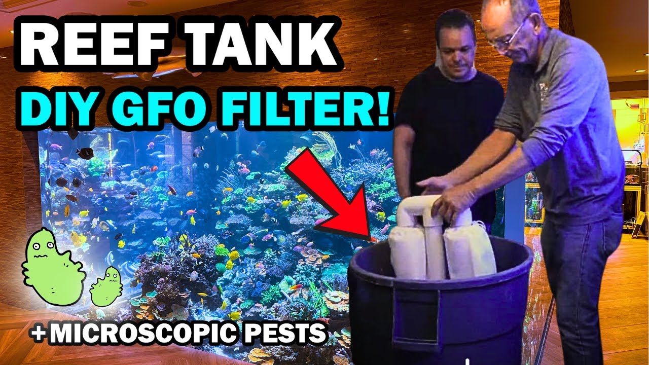 SOLUTION TO GFO USE IN REEF AQUARIUMS AND MORE!