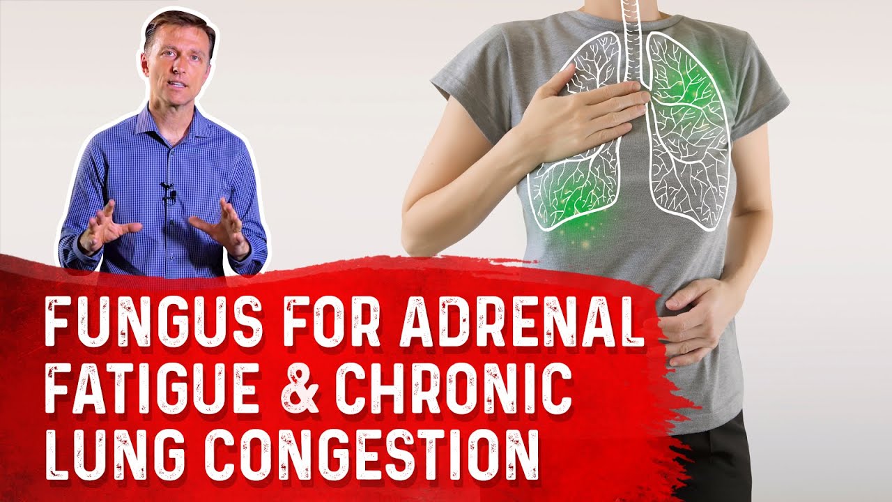 Cordyceps Fungus: The Amazing Remedy for Adrenal Fatigue & Chronic Lung Congestion &ndash; Dr. Berg