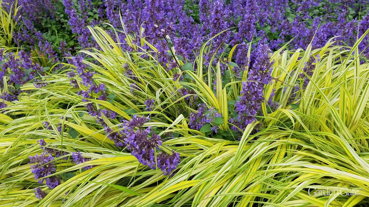 Make a small garden seem bigger