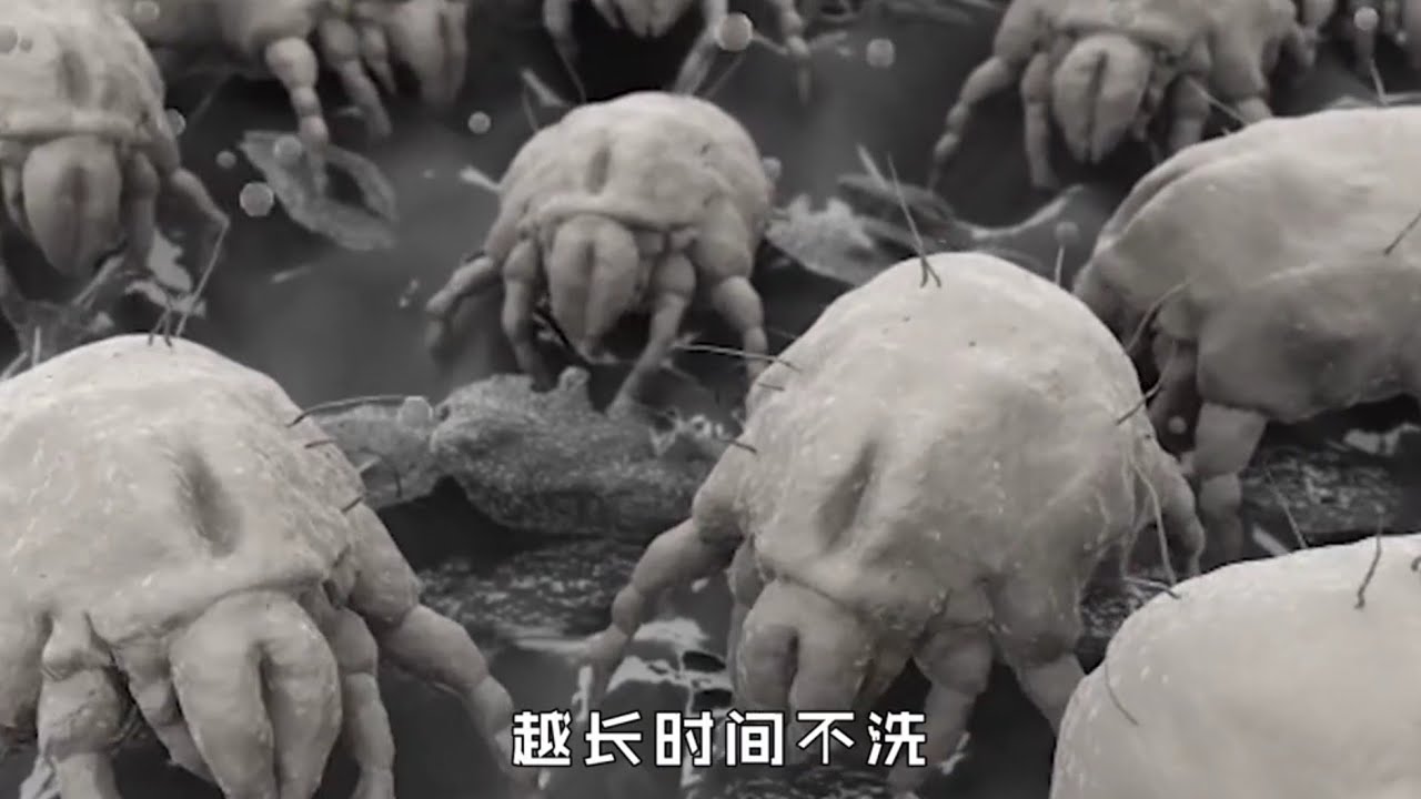 床單上的細菌多的驚人，你多久洗一次床單？