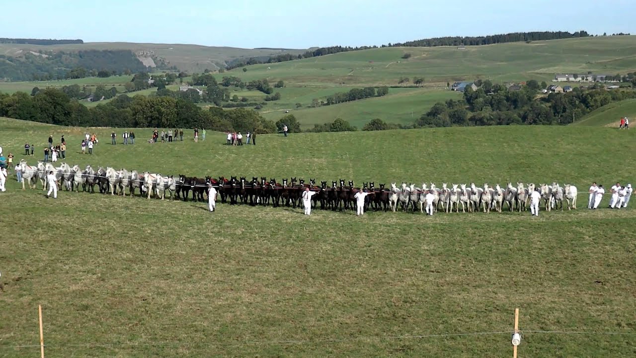 Fête du Percheron 2011.mpg