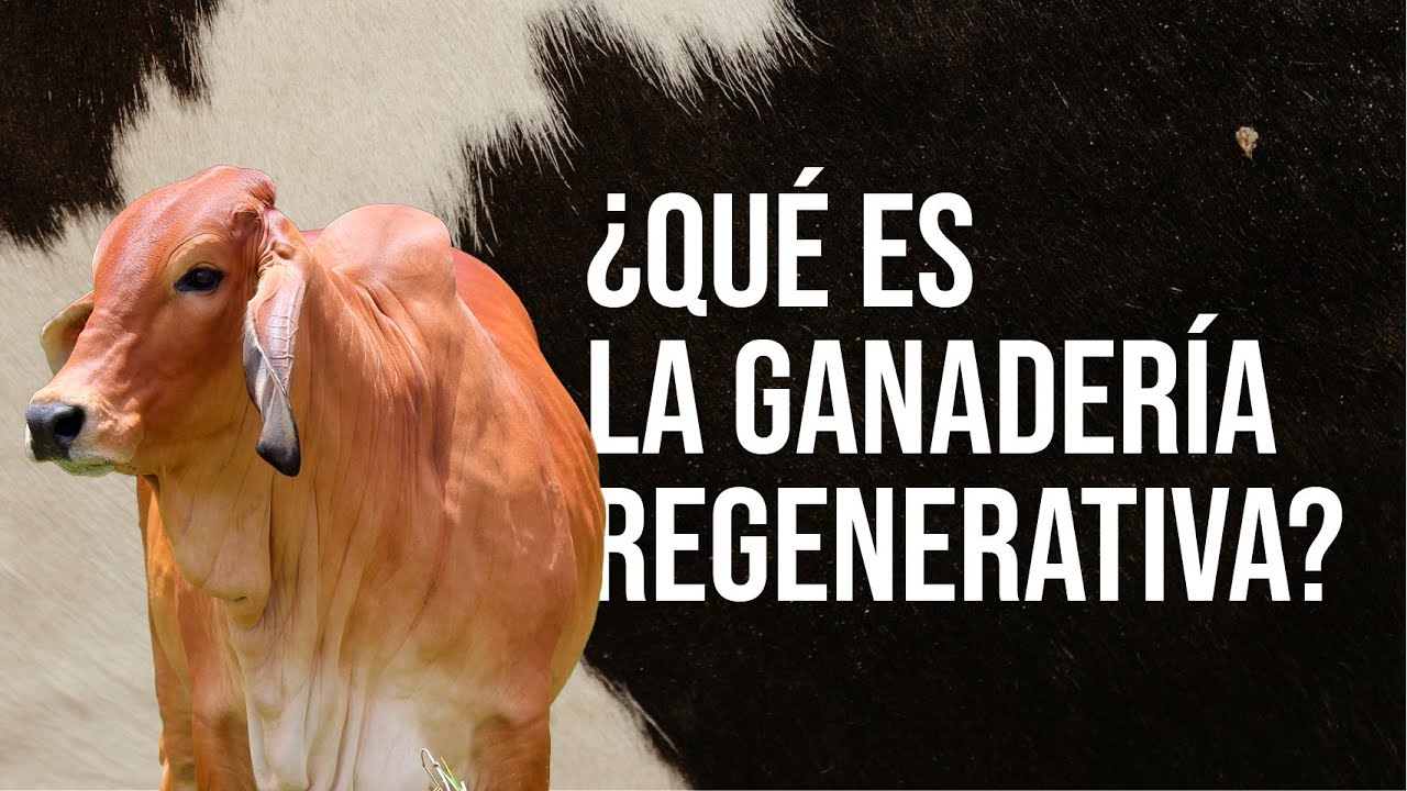 Ganadería Regenerativa: Un enfoque sostenible