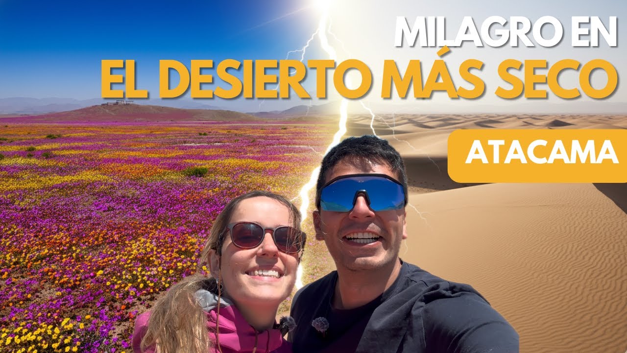 MILAGRO en el desierto de ATACAMA 🌸: El Desierto Florido y el HOYO GIGANTE de Tierra Amarilla 🤯
