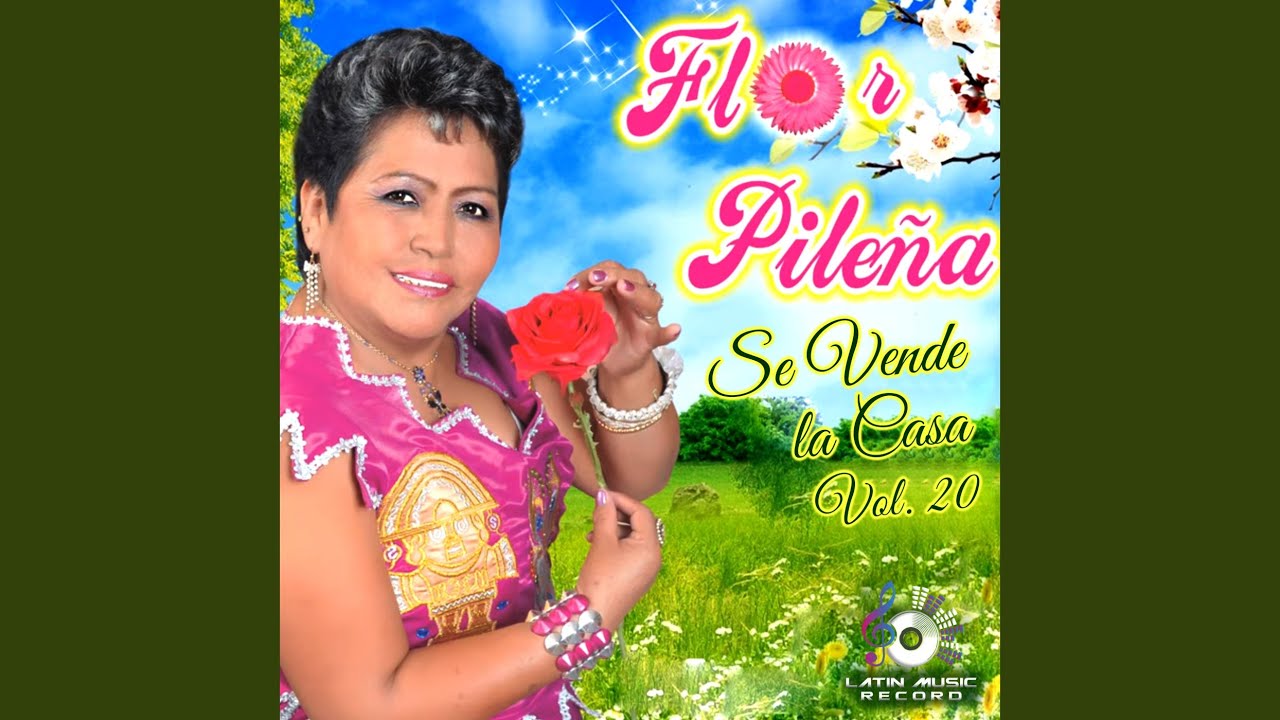 Nunca Pensé Enamorarme