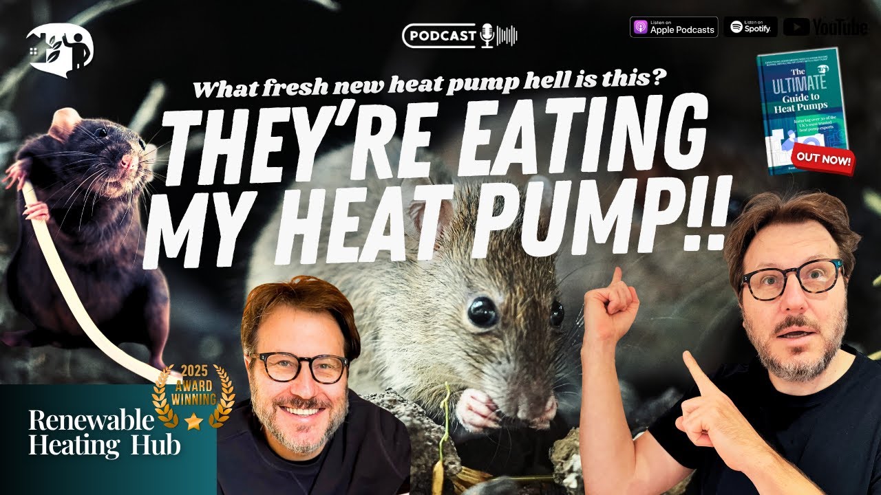 Проблема теплового насоса, о которой никто не говорит