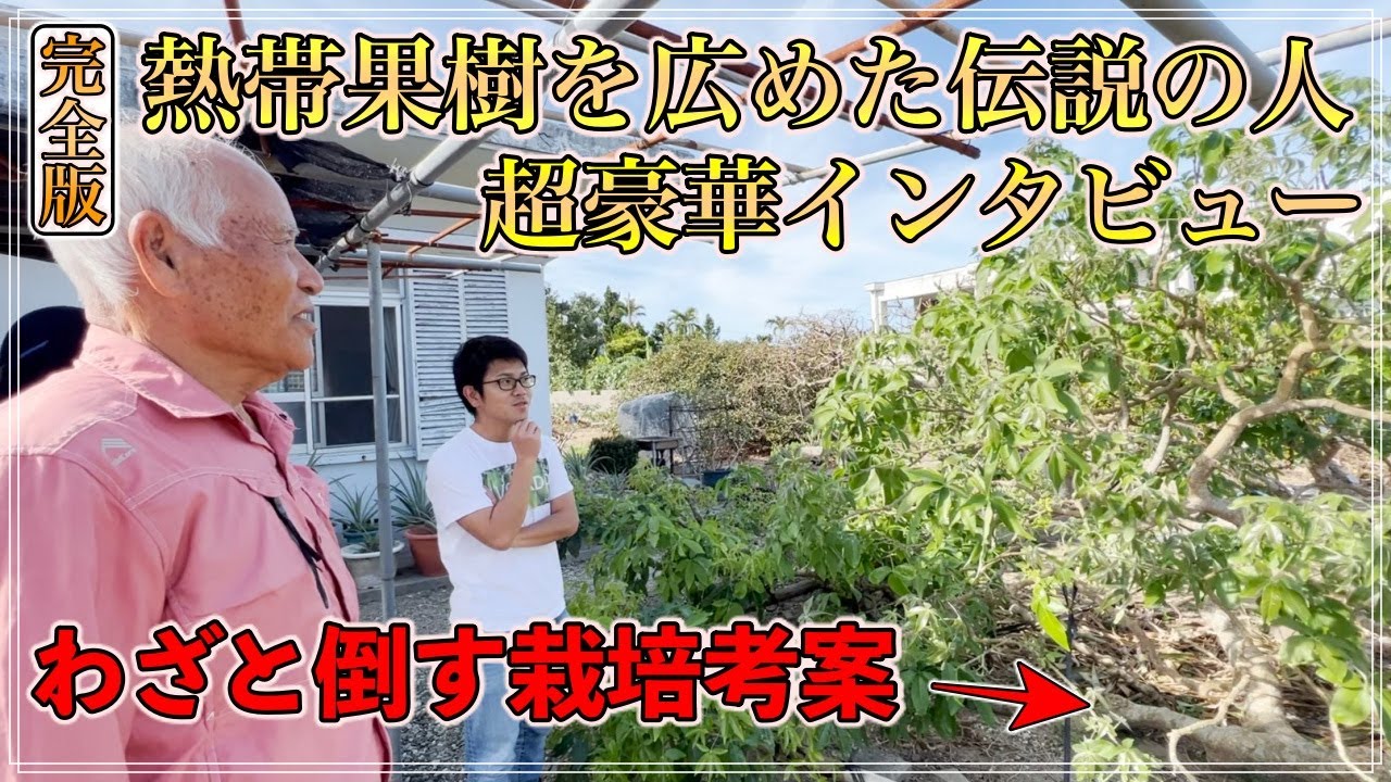【完全版】アボカドや熱帯果樹を広めた伝説の人！風が強い地域でどのように栽培するのか！？【石垣島 仲野さん】