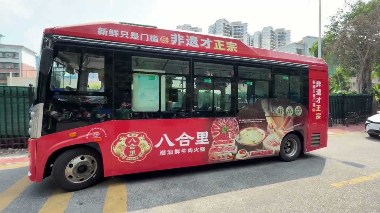 深圳園博園三角梅花盛開