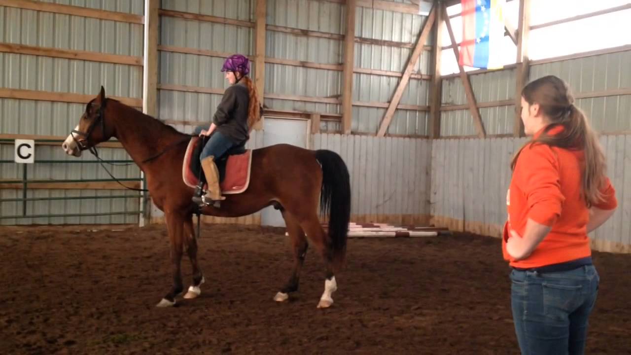 Things Equestrians Do That Are Weird