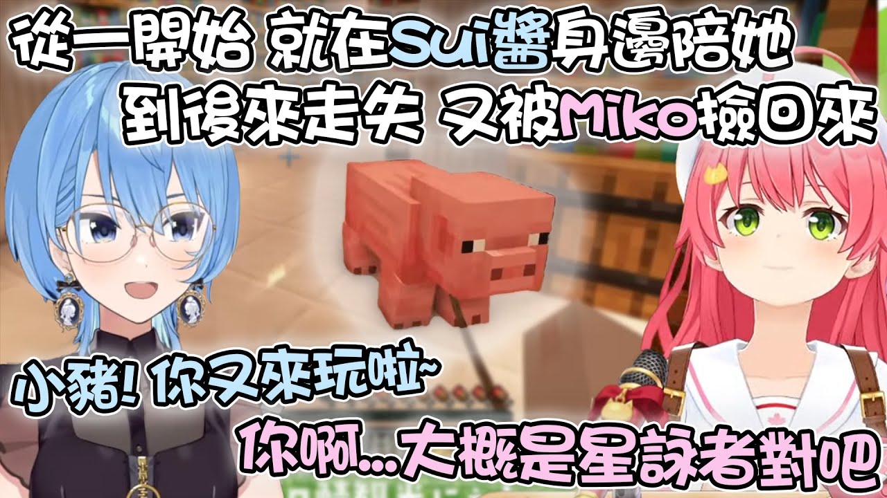 [雙視角] Sui醬和小豬和Miko的冒險故事！關於牠是如何陪Sui醬蓋起這個家...又陪Miko度過了什麼樣的難關...【hololive精華 さくらみこ 星街すいせい】