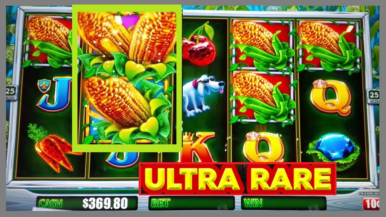 ULTRA RARE MEGA BONUS! Lock It Link Riches Cash Crop Slots!