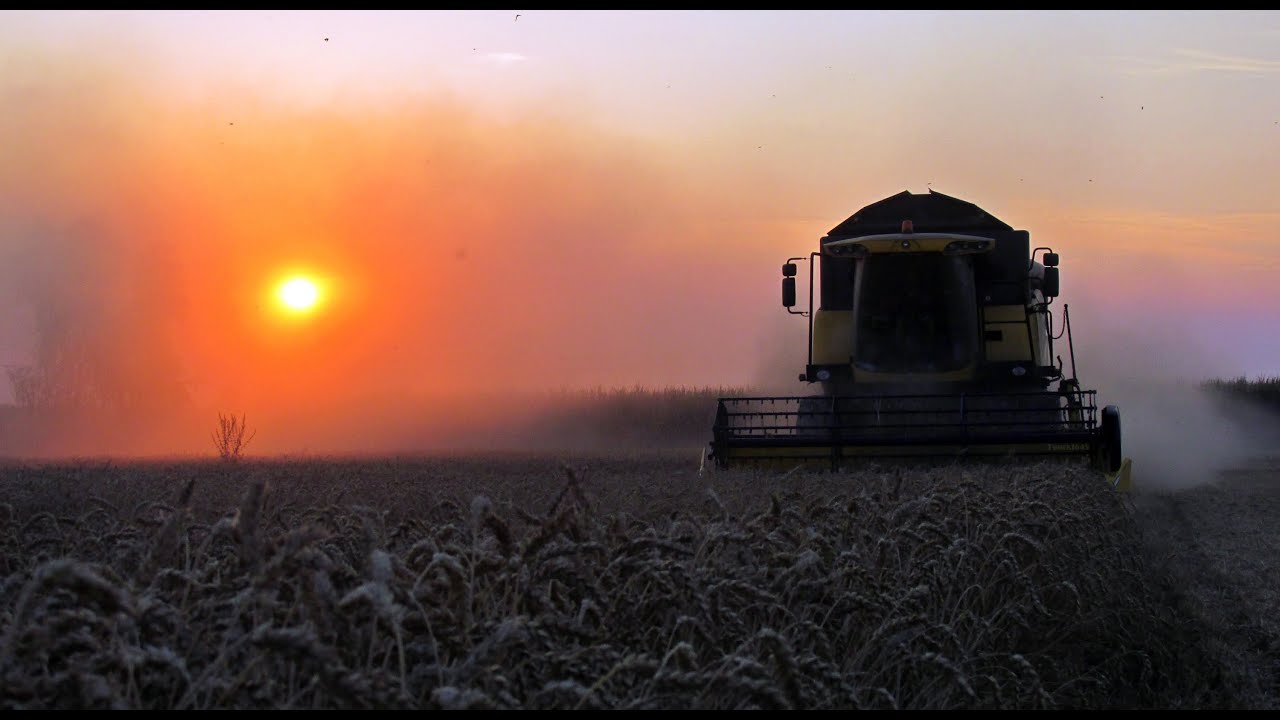 Żniwa 2015 na pełnej 4 kombajny , 3x Claas 3x John Deere 2x New Holland MF DF