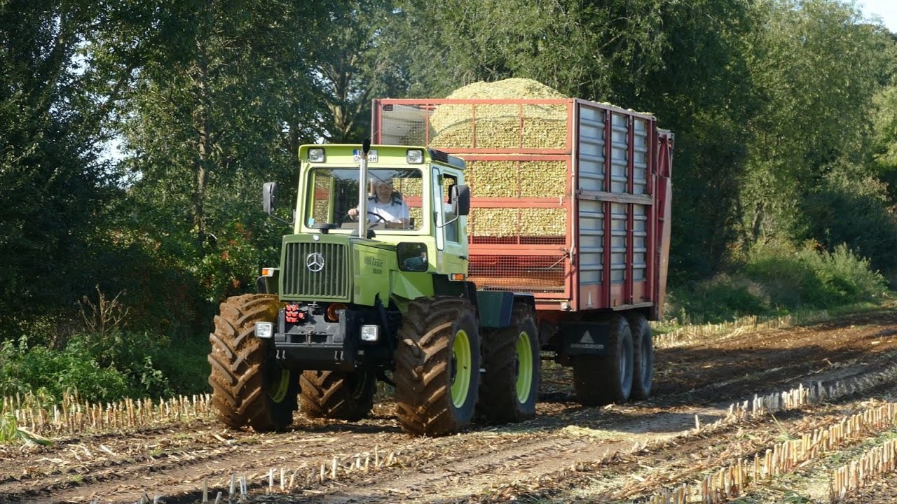 Rare Mercedes Benz Tractors In The Field - MB Trac