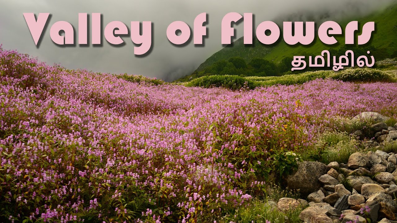 EP 5  |   Valley of Flowers 🌷 | பலரும் பார்க்காத பலருக்கும் தெரியாத வகையில் | Uttarakhand VLOG