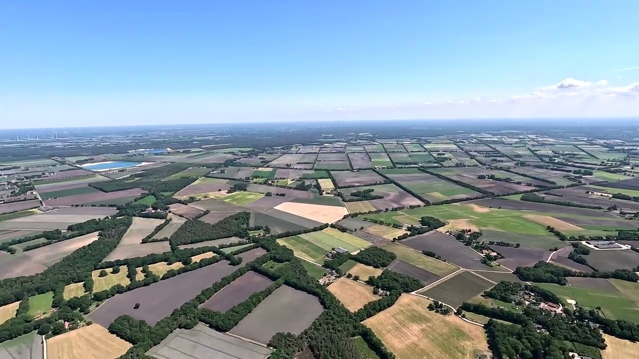 Bruinehaar 20 mei 2025.