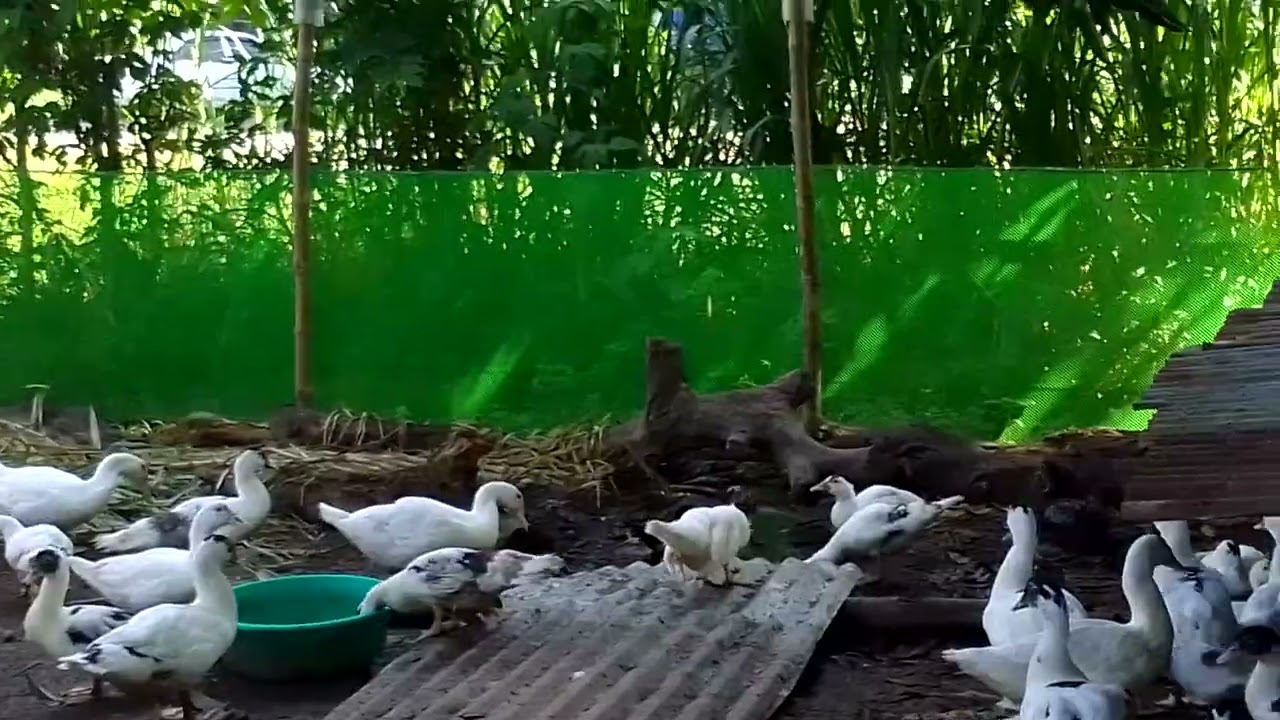 Sa wakas natapos din....