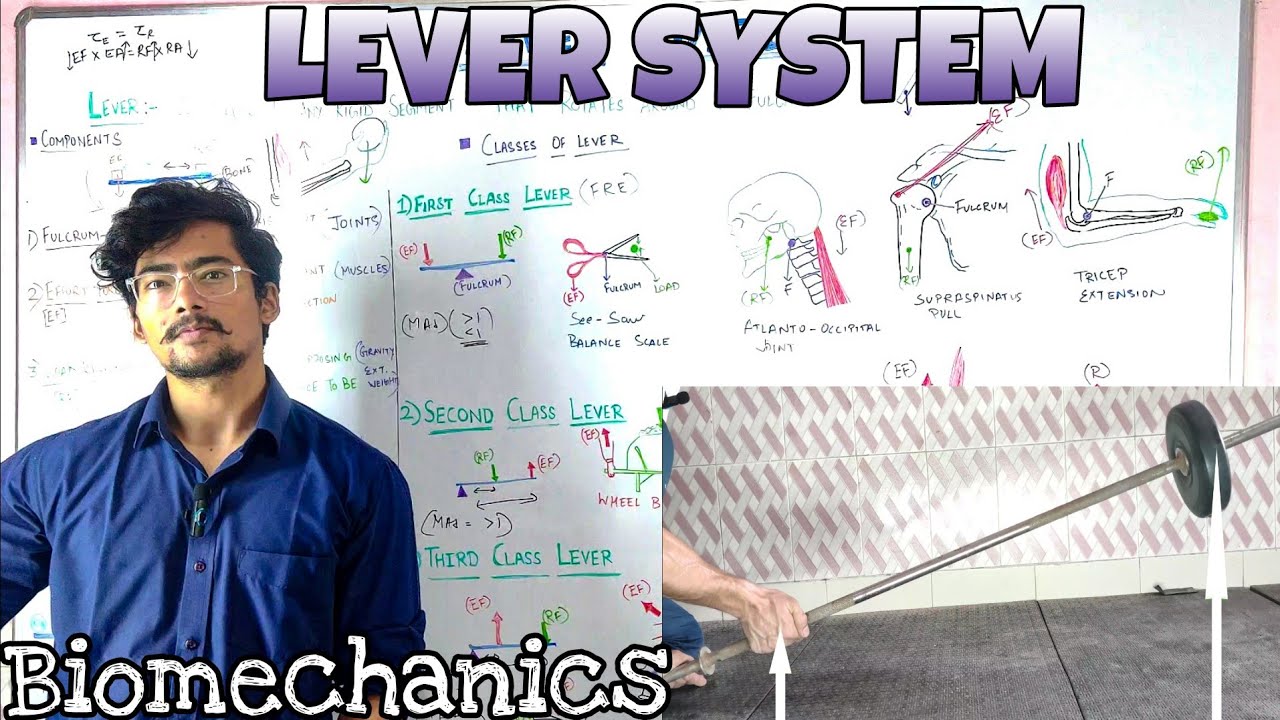 LEVER SYSTEM In Biomechanics | Classes of lever | Mechanical advantage