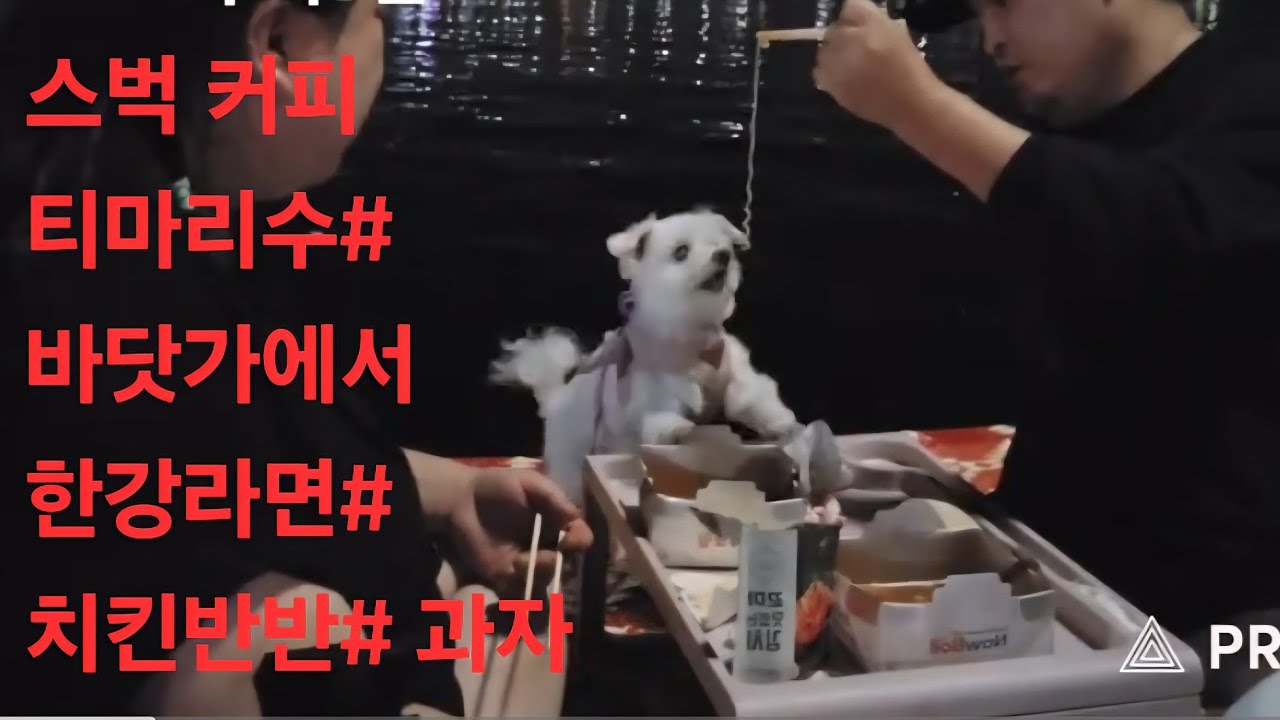복부인 스벅 커피 티마리수# 바닷가에서 한강라면# 치킨 반반# 과자 먹방 mukbang 