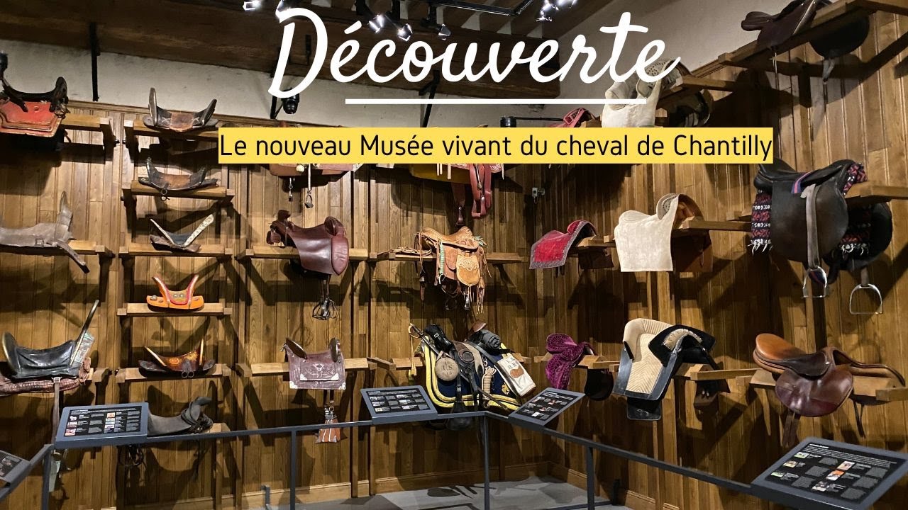 [DECOUVERTE] De nouvelles salles pour le Musée vivant du cheval de Chantilly