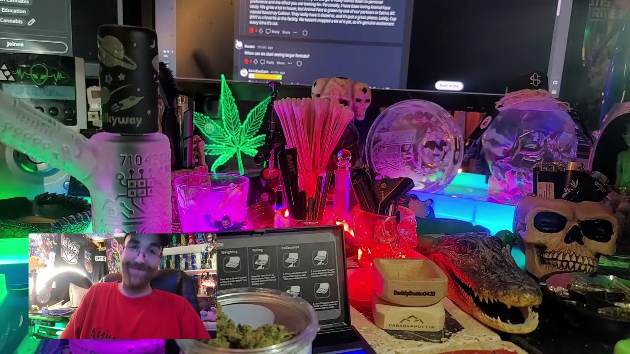 Eastcann - Tickle Burger (CCC's 1st AMA) 👽👑😤💚