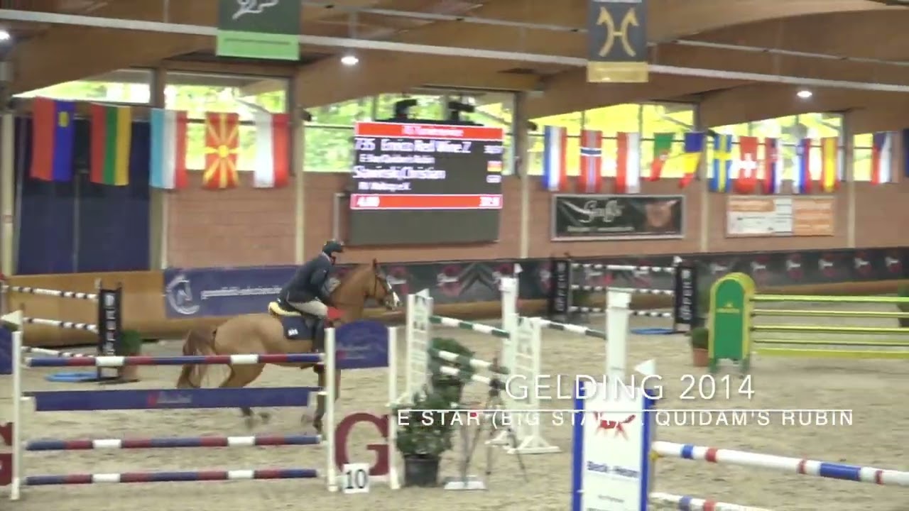 Enrico - National Show Wickrath, 20221119 *edit*