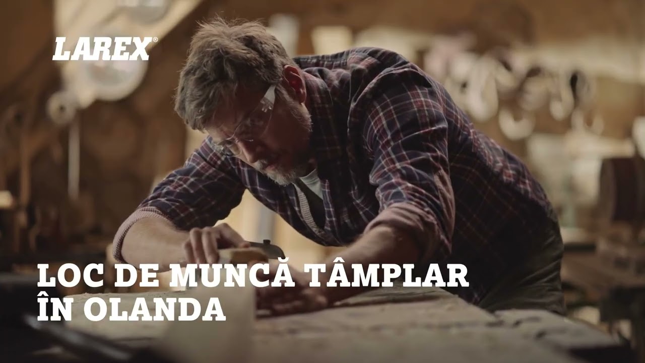 Loc de munca 𝐭𝐚̂𝐦𝐩𝐥𝐚𝐫 în Olanda
