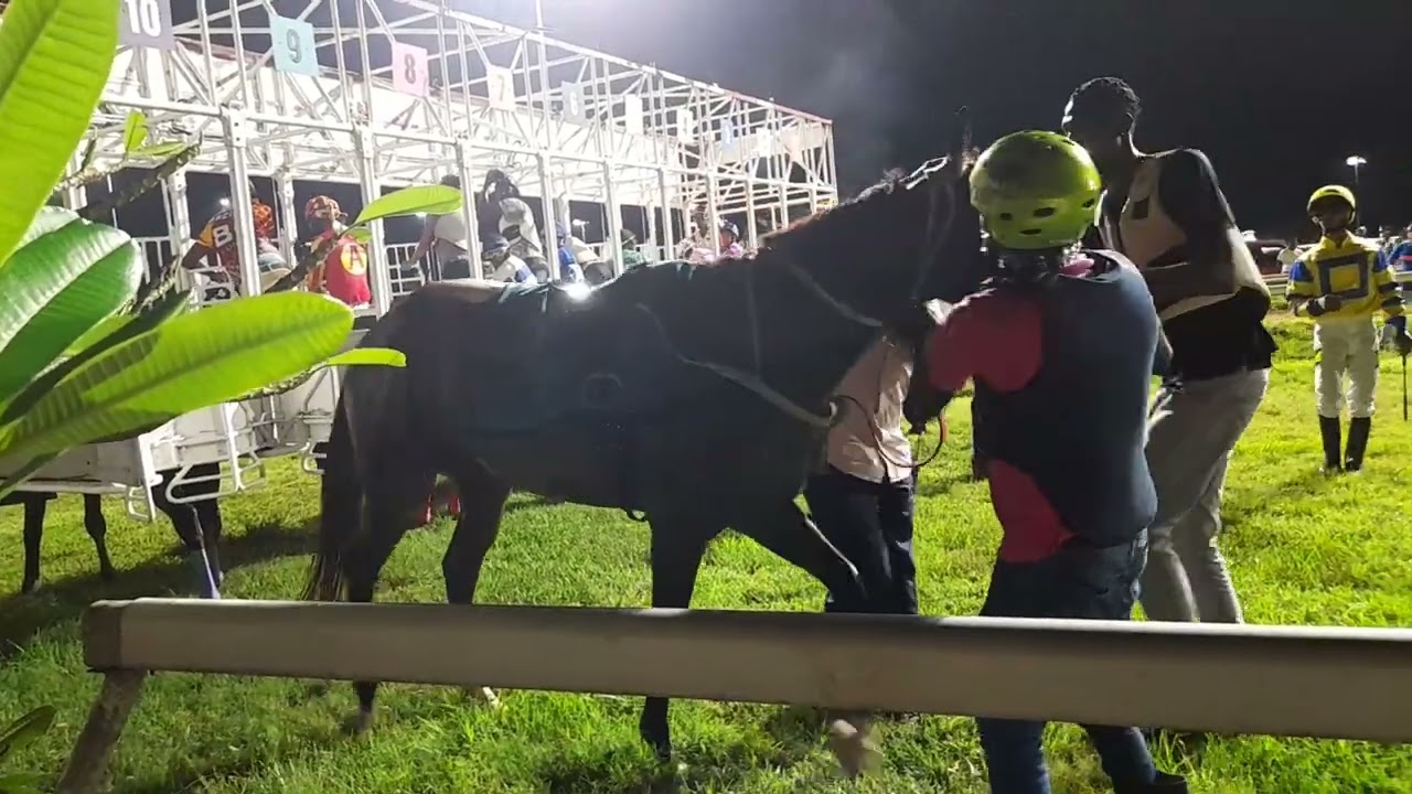 Night horse racing at the Garrison .September 3, 2022( Barbados
