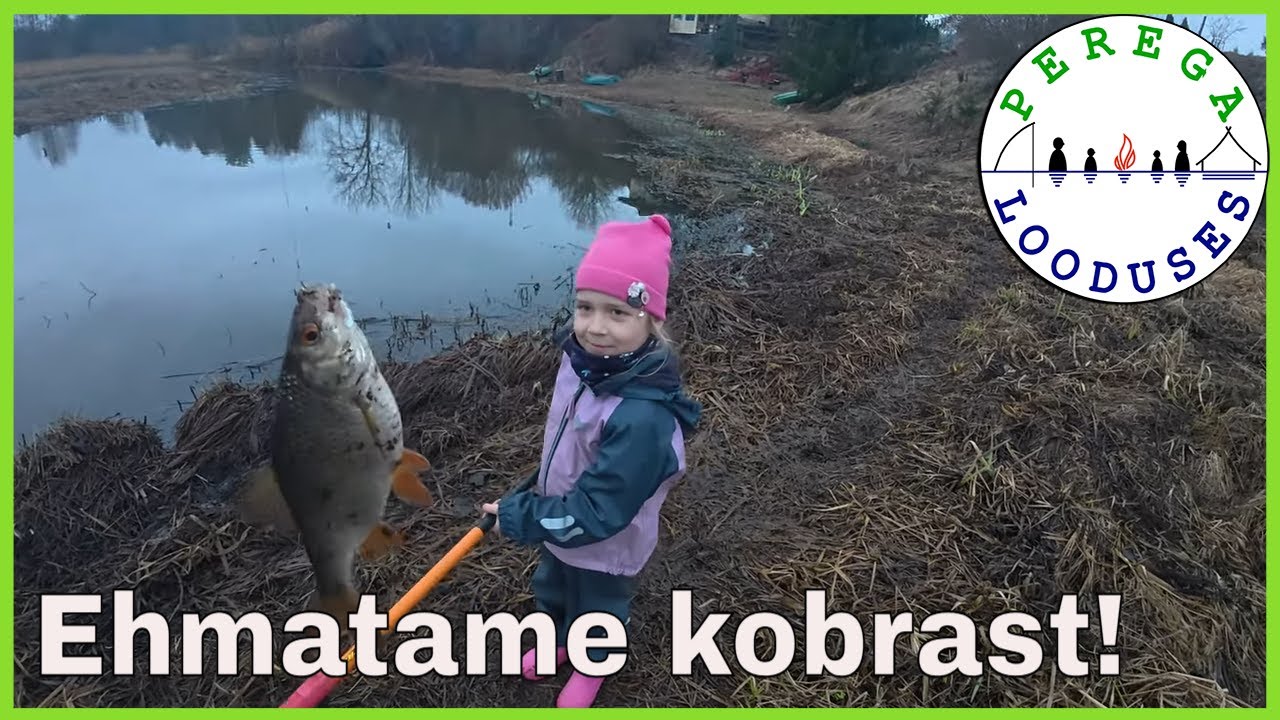 Püüame särge ja vaatame elukaid + muud jutud