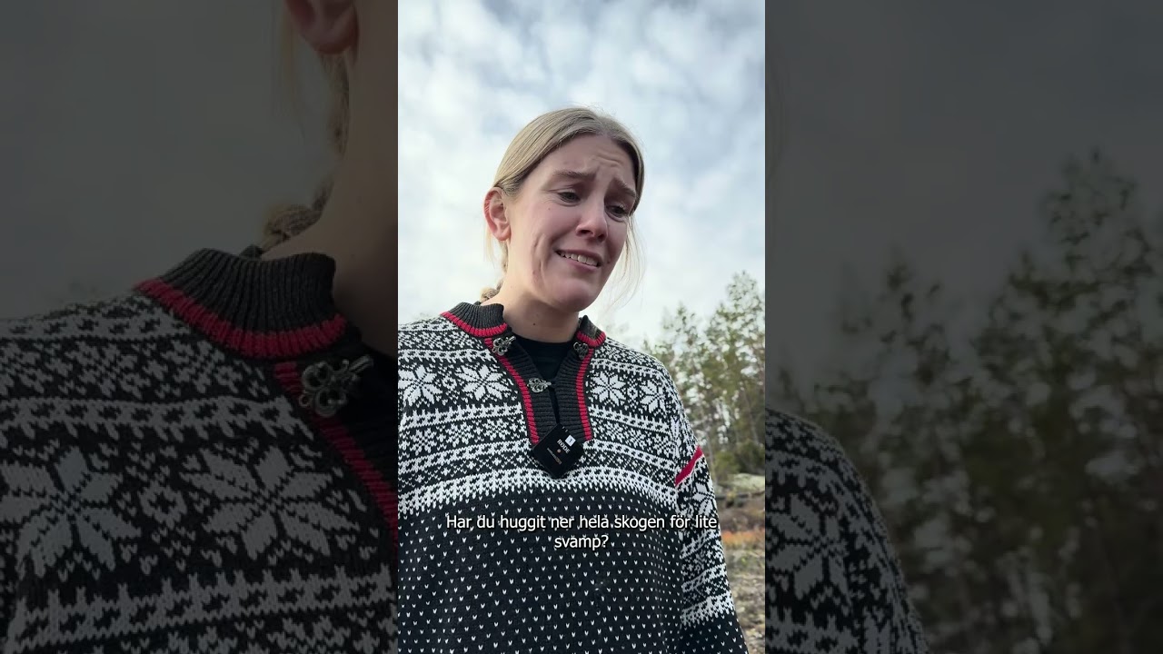 Att plocka svamp med motorsåg