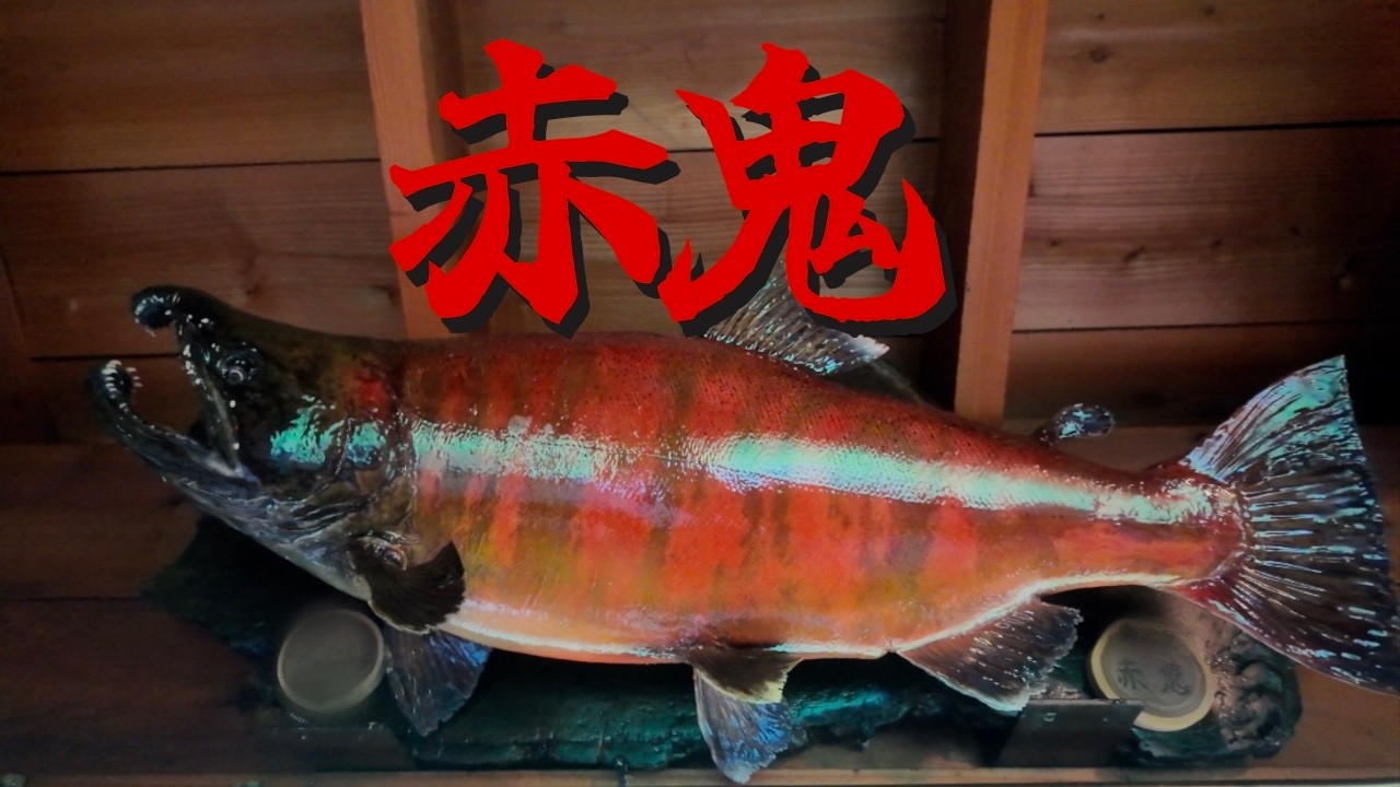【渓流釣り】赤鬼を追う福島・新潟遠征釣行【渓流ルアー】【ソロキャンプ】【車中泊】