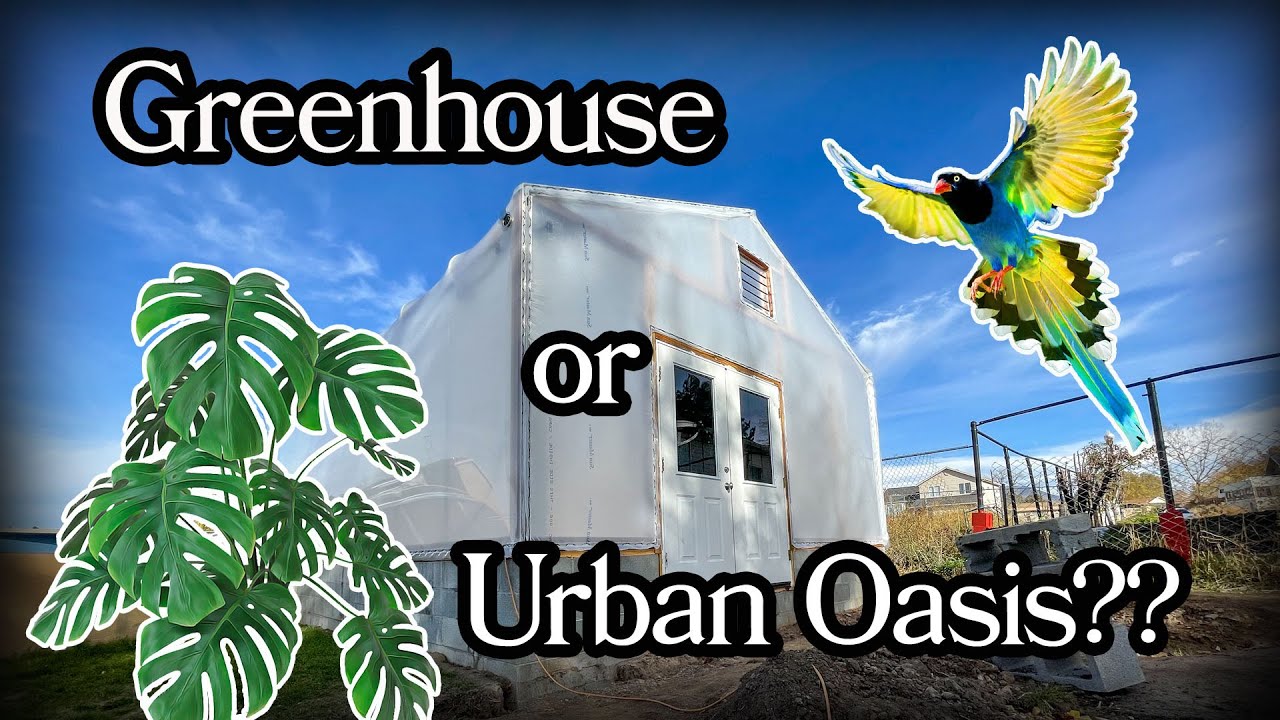 We're Building a Tropical Jungle Greenhouse!