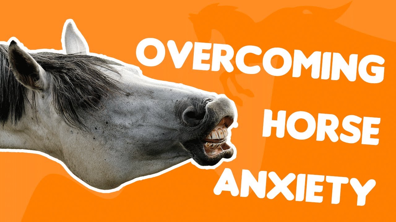 A Guide to Overcoming Horse Anxiety: Building Confidence and Comfort Around Horses